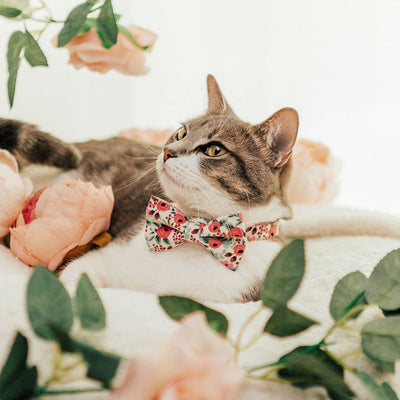 Rifle Paper Co® Pet Bow Tie - "Juliet" - Blush Pink Floral Bow Tie for Cat / Spring, Summer / Cat, Kitten, Small Dog Bowtie (ONE SIZE)