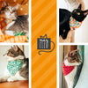 Sushi Pet Bandana - "Sushi Date" - Bandana for Cat Collar or Small Dog Collar / Japanese / Slide-on Bandana / Over-the-Collar (One Size)