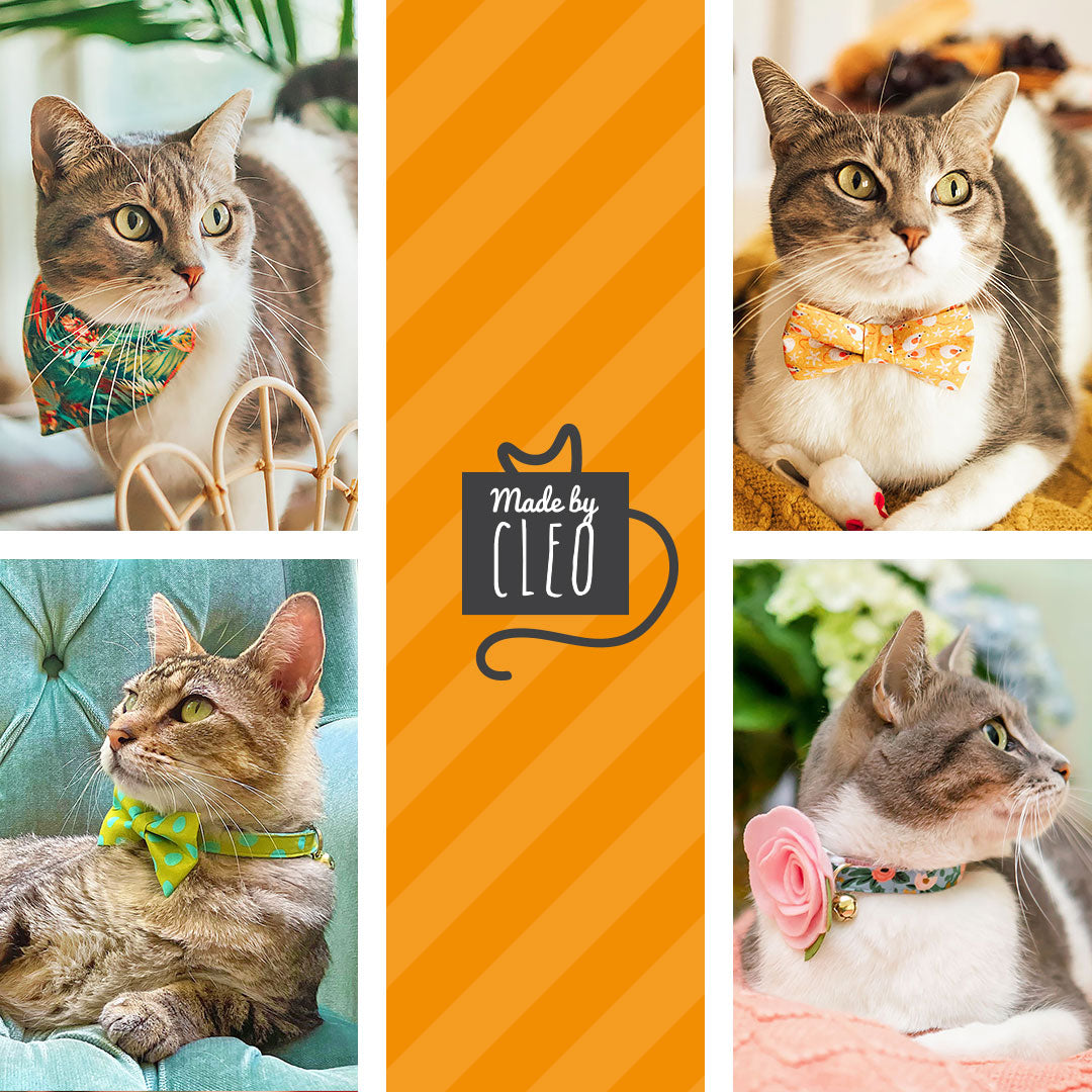 Designer pink and teal bow cat collar :: Rosewood Pet
