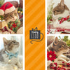 Cat Collar - "Tiny Reindeer" - Mint & Red Rudolph the Reindeer - Breakaway Buckle or Non-Breakaway / Cat, Kitten + Small Dog Sizes