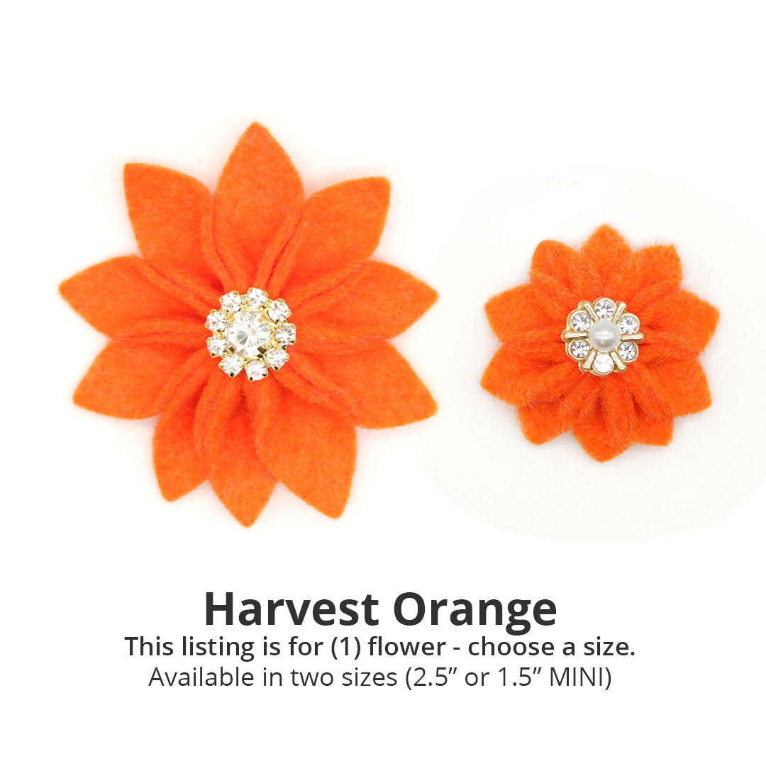 Specialty Pet Flower Corsages - Sold Individually / Poinsettia Collar Flower for Cats + Small Dogs / Colors for Halloween, Thanksgiving & Christmas