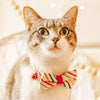 Pet Bow Tie - "Merry Stripes" - Rifle Paper Co® Christmas Striped Cat Bow Tie / Holiday / For Cats + Small Dogs (One Size)