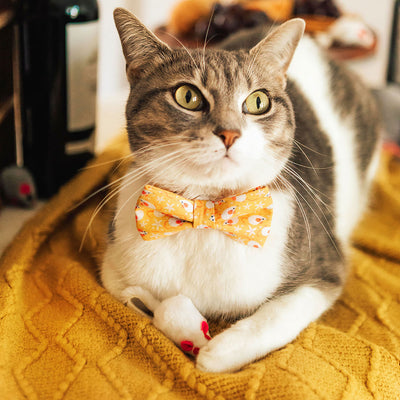 Bow Tie Cat Collar Set - "Mouse Mayhem - Goldenrod" - Mice on Yellow Cat Collar w/ Matching Bowtie / Cat, Kitten, Small Dog Sizes