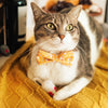 Pet Bow Tie - "Mouse Mayhem - Goldenrod" - Mice on Yellow Bow Tie for Cat / For Cats + Small Dogs (One Size)