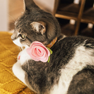 Cat Collar + Flower Set - "Mouse Mayhem - Goldenrod" - Mice on Yellow Cat Collar w/ Baby Pink Felt Flower (Detachable)