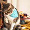 Pet Bandana - "Mouse Mayhem - Mint Aqua" - Bandana for Cat + Small Dog / Slide-on Bandana / Over-the-Collar (One Size)