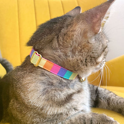 Cat Collar + Flower Set - "Pastel Rainbow" - Retro 80s Striped Cat Collar w/ Fuchsia Pink Felt Flower (Detachable) / Birthday