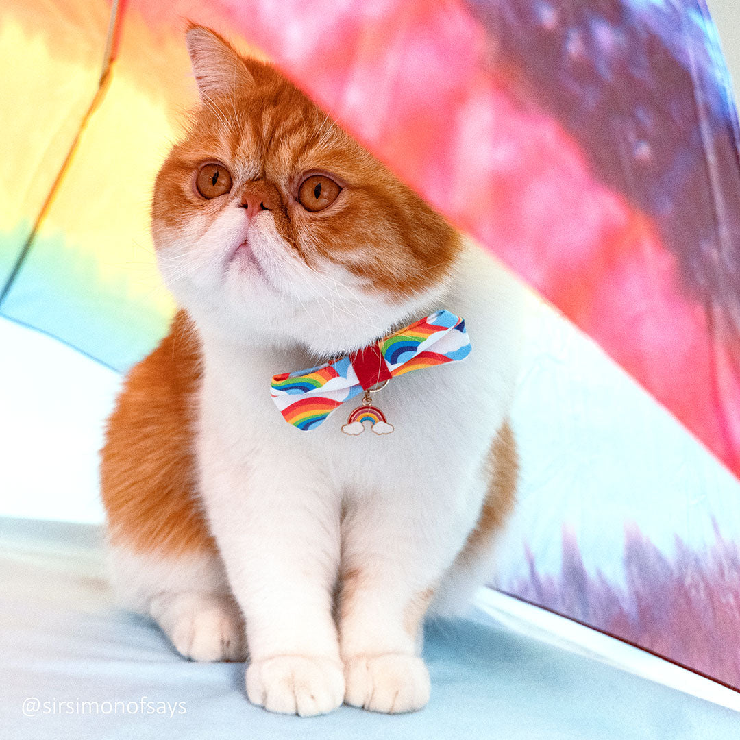Magical Charms Cat Collar Printed Cat Collar Kitten Cat 
