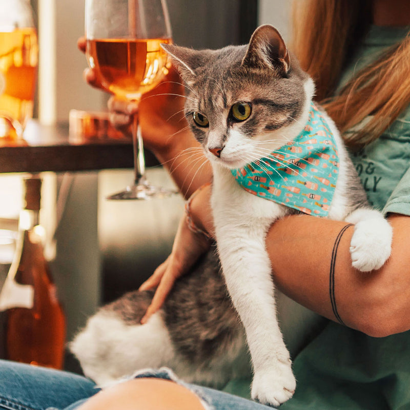 Pet Bandana - "Rosé All Day" - Pink Rose Wine on Mint Bandana for Cat + Small Dog / Wine Lover + Summer / Slide-on Bandana / Over-the-Collar (One Size)