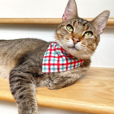Pet Bandana - "Snow Cone" - Red, White & Blue Plaid Bandana for Cat + Small Dog / 4th of July / Slide-on Bandana / Over-the-Collar (One Size)