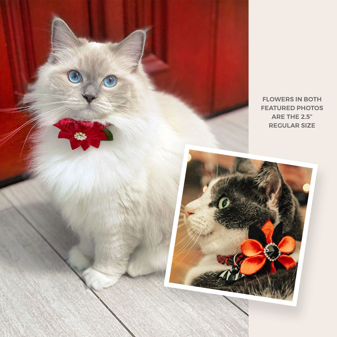 Cat Collar + Flower Set - "Eden" - Sage & Dark Woodland Green Cat Collar + Specialty Holiday Red Poinsettia Felt Flower (Detachable)