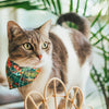 Cat Collar - "Tropicalia" - Palm Leaves Tropical Cat Collar / Spring, Summer, Hawaiian / Breakaway Buckle or Non-Breakaway / Cat, Kitten + Small Dog Sizes