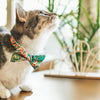 Bow Tie Cat Collar Set - "Tropicalia" - Palm Leaves Tropical Cat Collar w/ Matching Bowtie / Summer, Hawaiian / Cat, Kitten, Small Dog Sizes