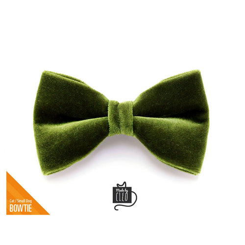 Cat Bow Tie - "Velvet - Leaf Green"  - Vibrant Olive Green Velvet Bowtie / Wedding / For Cats + Small Dogs / Removable (One Size)