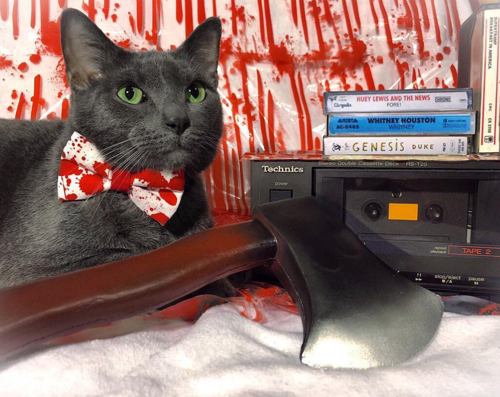 Horror Movie Bow Tie Cat Collar Set - "Dexter" - Horror Fan Gift/Halloween Cat Collar with Bow Tie (Removable)