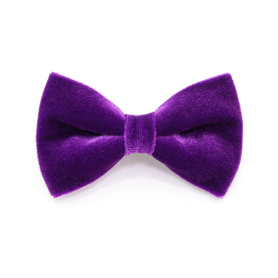 Pet Bow Tie - "Velvet - Royal Purple" - Rich Purple Velvet Bowtie / Wedding / For Cats + Small Dogs (One Size)