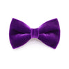 Cat Collar - "Velvet - Royal Purple" - Rich Purple Velvet Cat Collar / Breakaway Buckle or Non-Breakaway / Cat + Small Dog Sizes