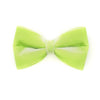 Pet Bow Tie - "Velvet - Apple Green" - Light Green Velvet Bow Tie for Cat / For Cats + Small Dogs (One Size)