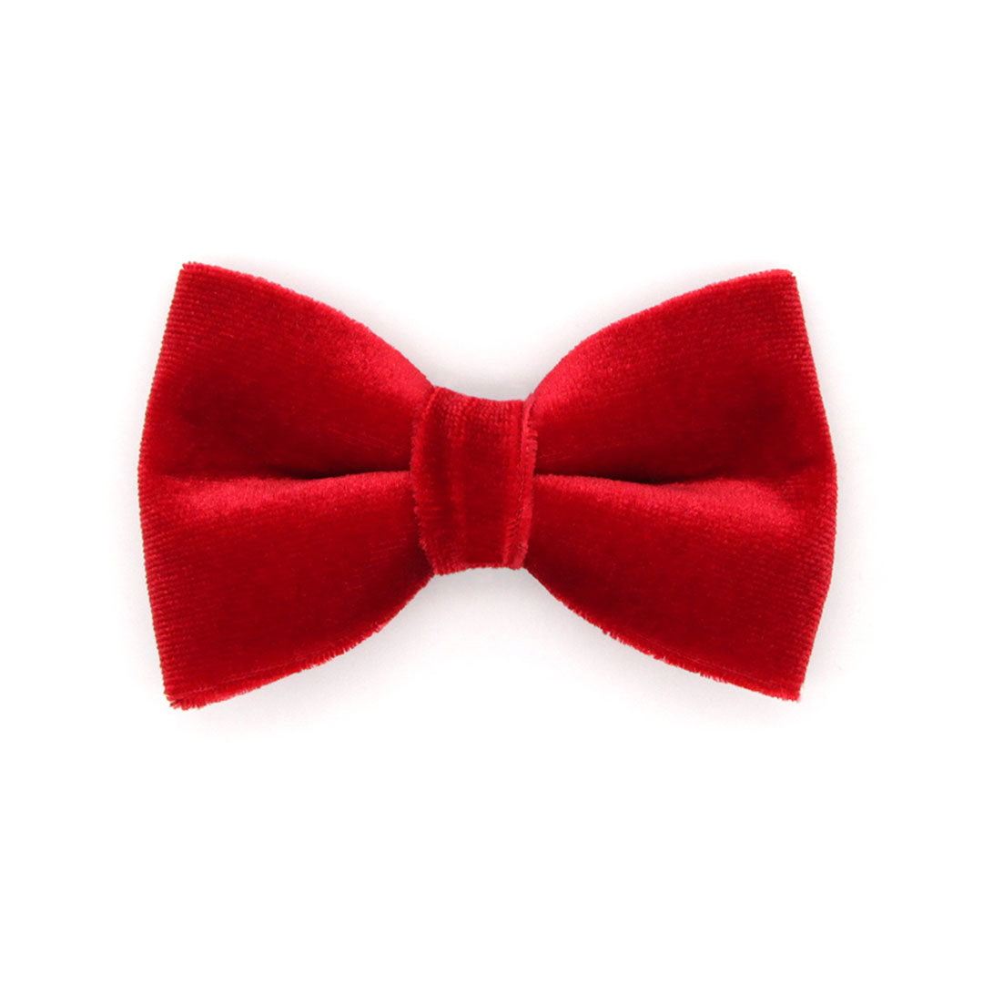 Pet Bow Tie (REGULAR SIZE) - "Velvet - Garnet Red" - Christmas, Holidays & Wedding Bow Tie | For Adult Cat + Small Dog