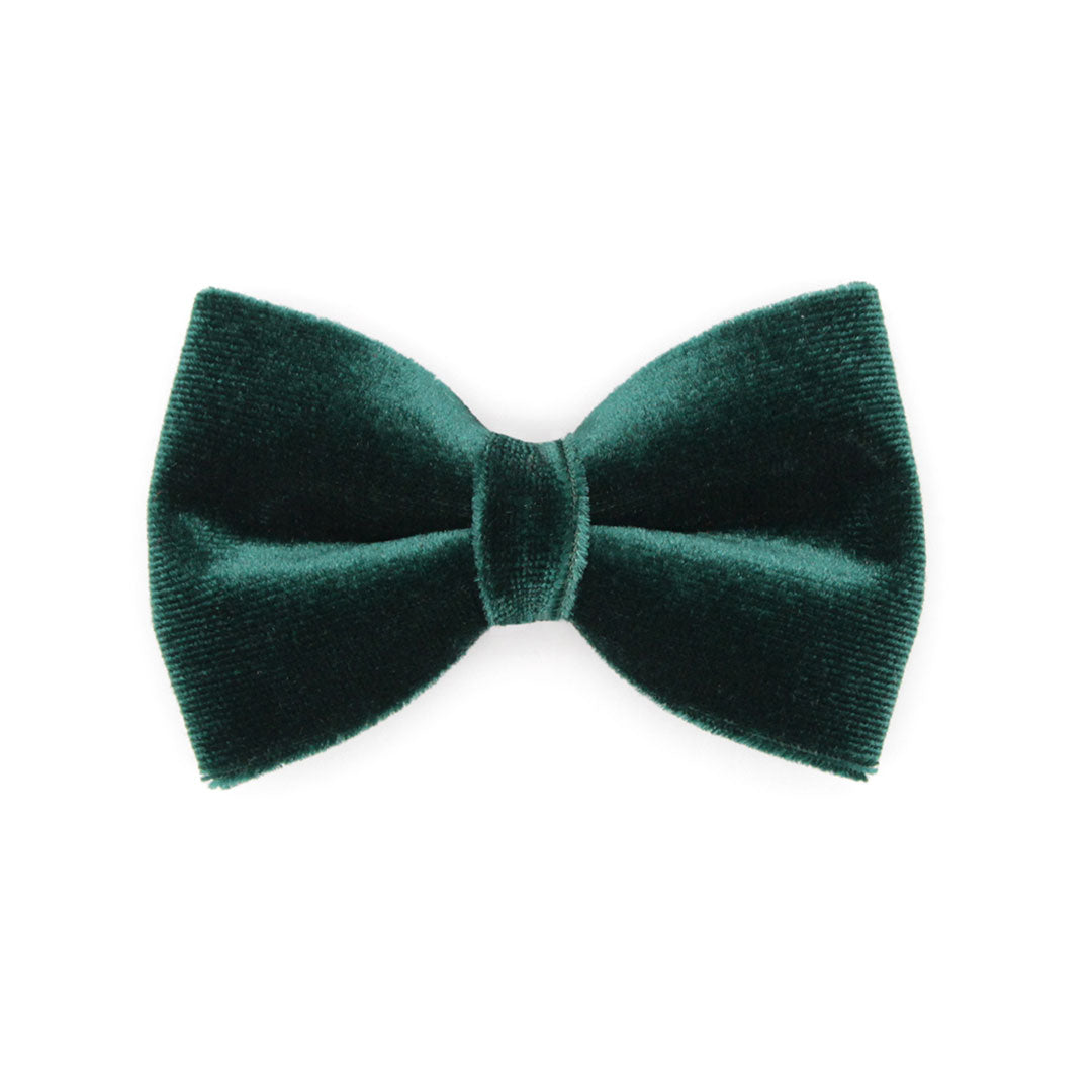 Pet Bow Tie (REGULAR SIZE) - "Velvet - Hunter" - Christmas, Holidays & Wedding Bow Tie | For Adult Cat + Small Dog