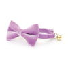 Cat Collar - "Velvet - Lavender" - Light Purple Velvet Cat Collar - Breakaway Buckle or Non-Breakaway / Cat, Kitten + Small Dog Sizes