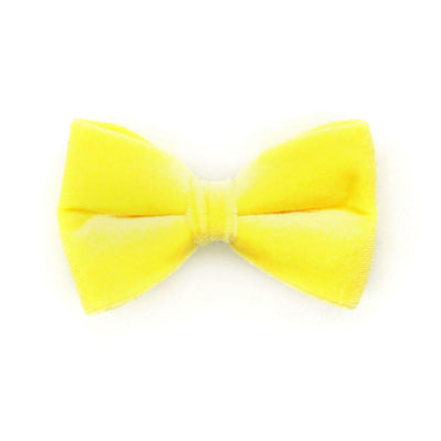 Bow Tie Cat Collar Set - "Velvet - Lemon Yellow" - Light Yellow Velvet Cat Collar w/ Matching Bowtie / Cat, Kitten, Small Dog Sizes