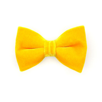 Pet Bow Tie - "Velvet - Marigold" - Rich Yellow Velvet Bow Tie for Cat / For Cats + Small Dogs (One Size)