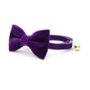 Bow Tie Cat Collar Set - "Velvet - Royal Purple" - Rich Purple Velvet Cat Collar + Matching Bowtie / Cat, Kitten, Small Dog Sizes