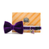 Cat Collar - "Velvet - Royal Purple" - Rich Purple Velvet Cat Collar / Breakaway Buckle or Non-Breakaway / Cat + Small Dog Sizes