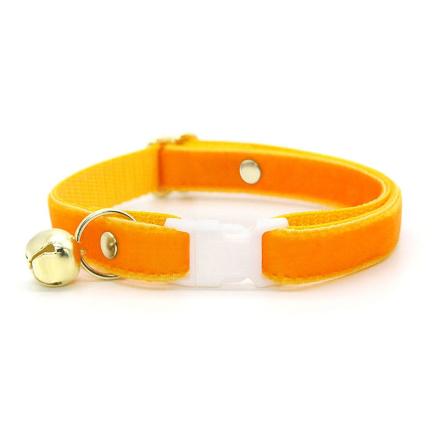 Cat Collar - "Velvet - Marigold" - Luxury Velvet Cat Collar / Breakaway Buckle or Non-Breakaway / Cat, Kitten + Small Dog Sizes