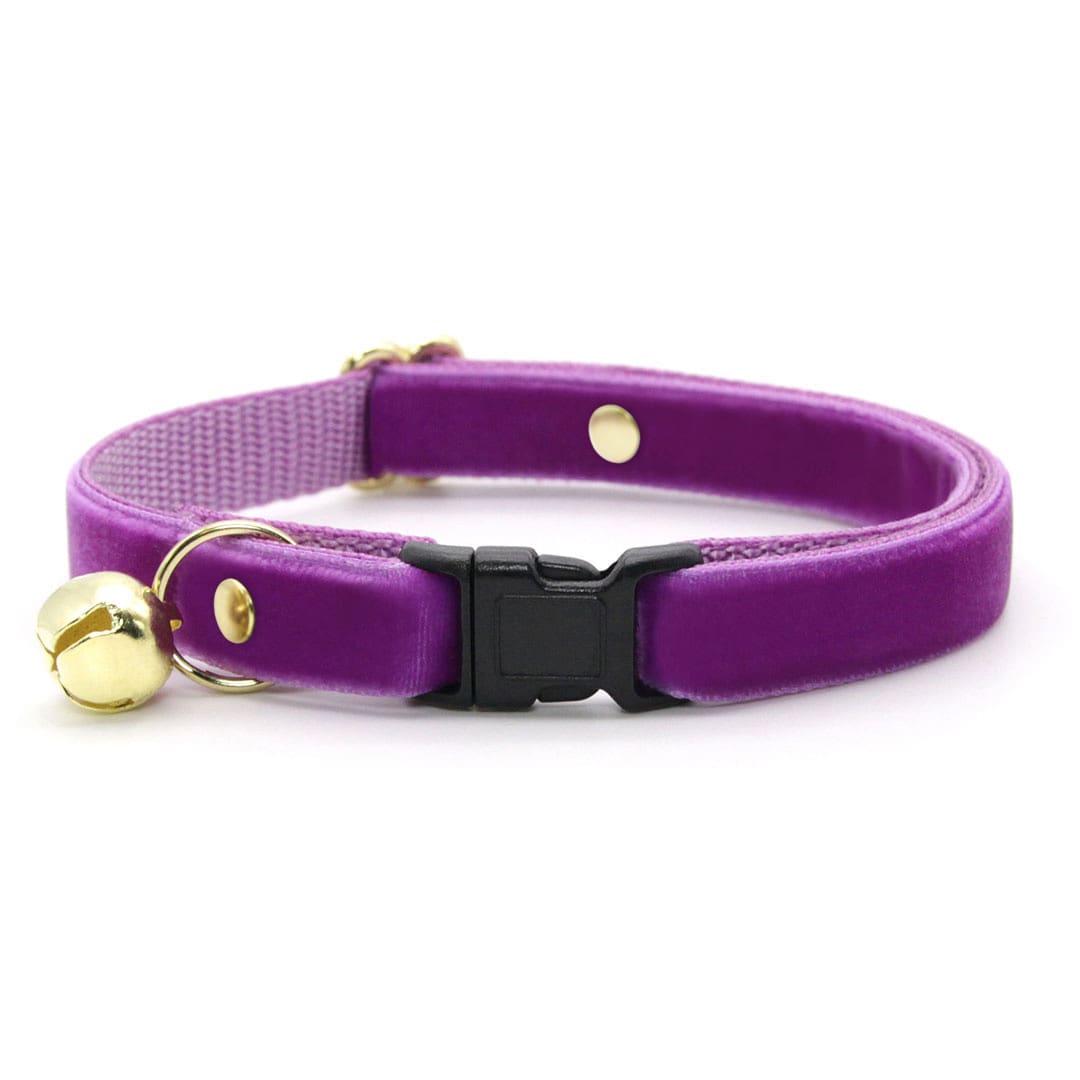 Cat Collar - "Velvet - Orchid" - Magenta Purple Velvet Cat Collar / Breakaway Buckle or Non-Breakaway / Cat, Kitten + Small Dog Sizes