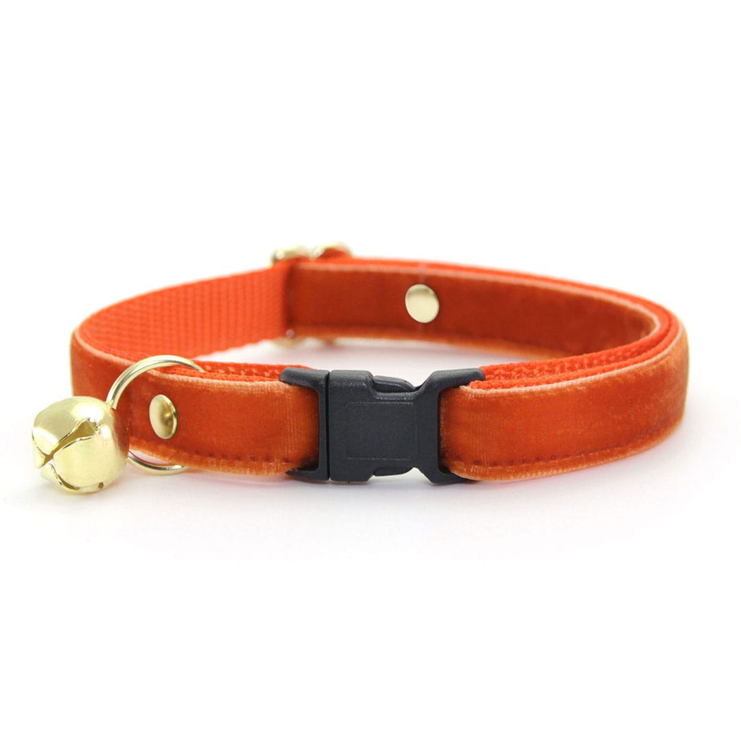 Cat Collar - "Velvet - Roasted Pumpkin" - Burnt Orange Velvet / Fall + Thanksgiving - Breakaway Buckle or Non-Breakaway / Cat, Kitten + Small Dog Sizes