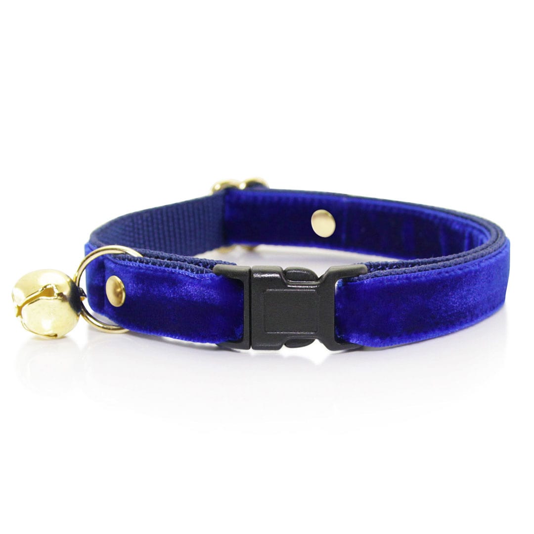 Cat Collar - "Velvet - Sapphire Blue" - Luxe Blue Velvet - Breakaway Buckle or Non-Breakaway - Cat + Small Dog Sizes