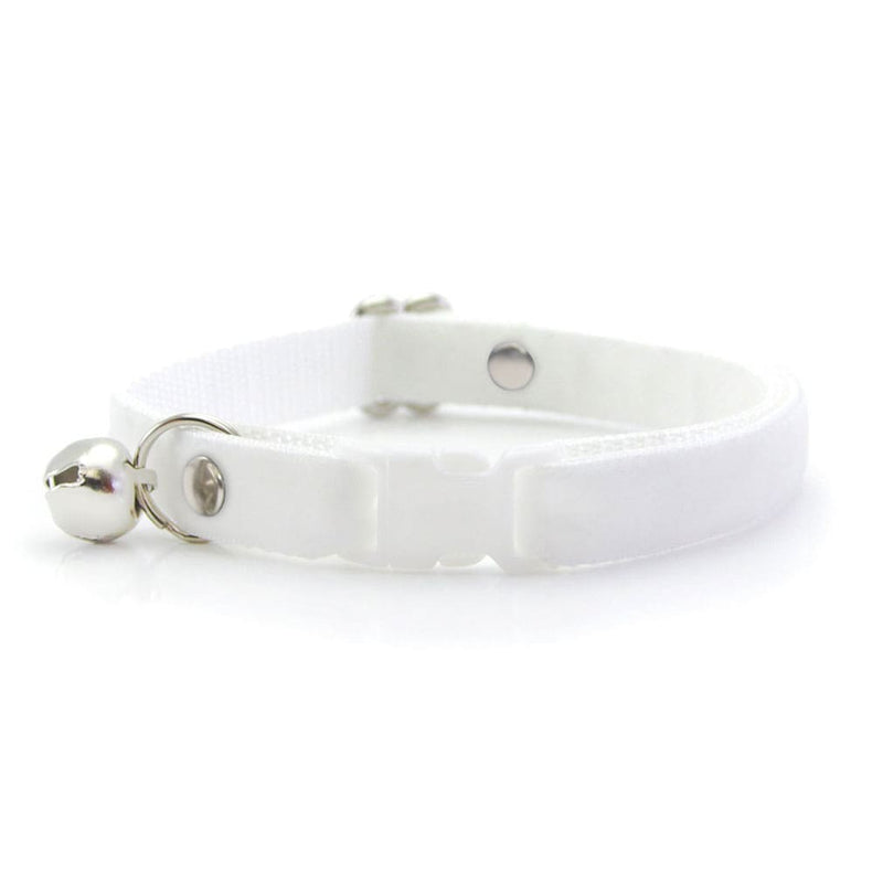 White Special Cat Collar - Biozoo