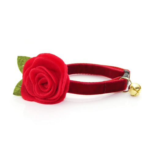 Holiday Velvet Cat Collar + Flower Set - "Velvet - Garnet Red" - Velvet Cat Collar w/ Scarlet Felt Flower (Detachable)