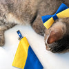 Bow Tie Cat Collar Set - "We Stand With Ukraine - Blue" - Blue & Yellow Ukraine Flag Bow Tie + "Color Collection - Cobalt Blue" Cat Collar / Cat, Kitten, Small Dog Sizes