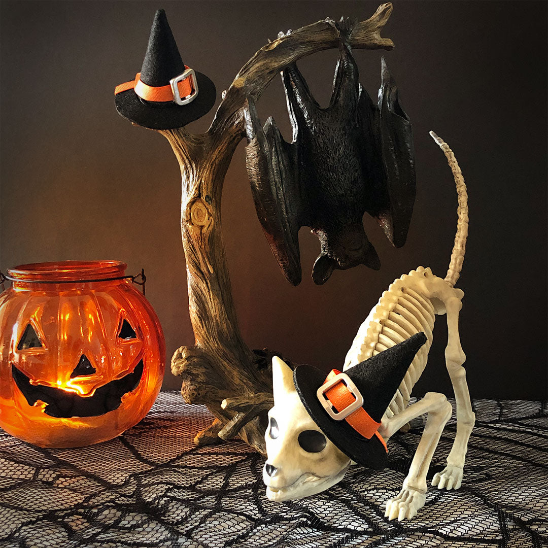 Pet Witch Hat - Halloween Photo Prop | X-Small Mini Size for Cats, Kittens + Small Dogs