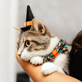Pet Witch Hat - Halloween Photo Prop | X-Small Mini Size for Cats, Kittens + Small Dogs - Regular 9-Inch