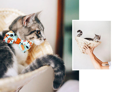 Sushi Cat Collar with Flower Set - "Sushi Date" - Cat Collar with Mint Felt Flower - Breakaway/Non-Breakaway/Cat, Kitten & Small Dog Sizes