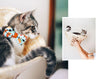 Sushi Cat Bow Tie - "Sushi Date" - Bow Tie for Cat, Kitten or Small Dog - Removable, One Size