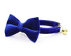 Cat Collar - "Velvet - Sapphire Blue" - Luxe Blue Velvet - Breakaway Buckle or Non-Breakaway - Cat + Small Dog Sizes