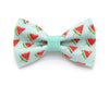 Bow Tie Cat Collar Set - "Watermelon Pops" - Mint Fruit Cat Collar + Matching Bow Tie (Removable)