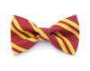 Bow Tie Cat Collar Set - "Wizarding School / Scarlet" - Harry Potter-Inspired Cat Collar w/ Matching Bow Tie (Removable)