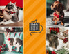 Cat Collar - "Velvet - Snowy White" - Breakaway Buckle or Non-Breakaway / Cat, Kitten + Small Dog Sizes