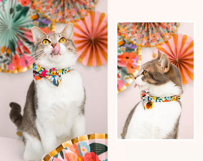 Cat Collar - "Garden Party" - Rifle Paper Co® Floral - Breakaway Buckle or Non-Breakaway / Cat, Kitten + Small Dog Sizes
