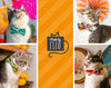 Cat Bow Tie - "Garden Party" - Rifle Paper Co® Floral Bowtie / For Cats + Small Dogs / Removable (One Size)