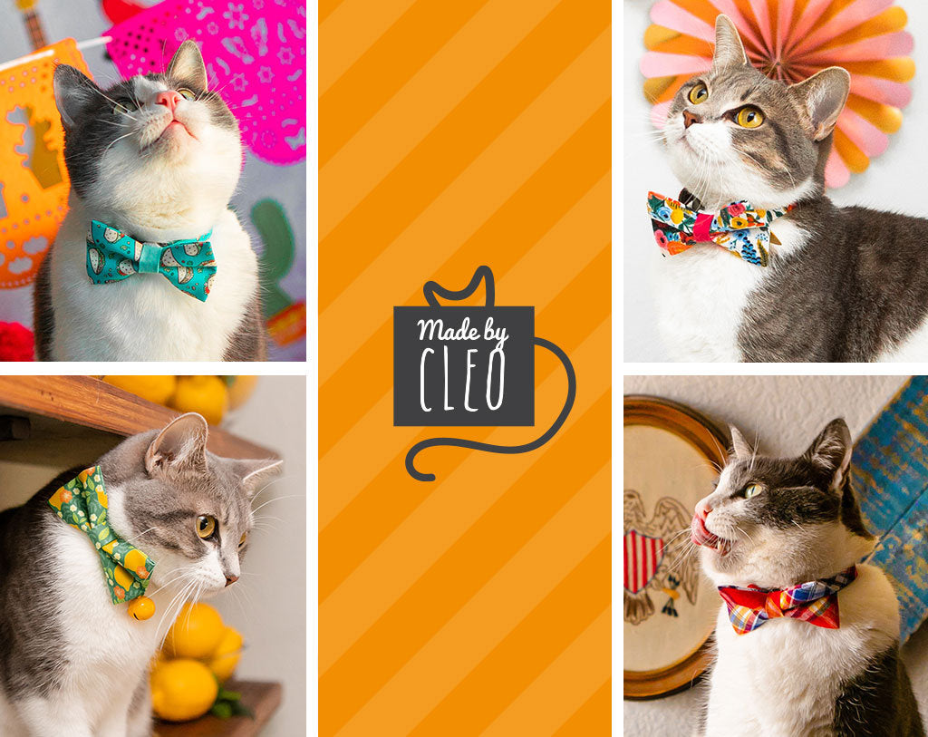Cat Bow Tie - "Say Cheese" Bowtie / For Cats + Small Dogs / Removable (One Size)