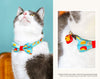 Cat Collar + Flower Set - "Say Cheese" Cat Collar w/ "Red" Felt Flower (Detachable)