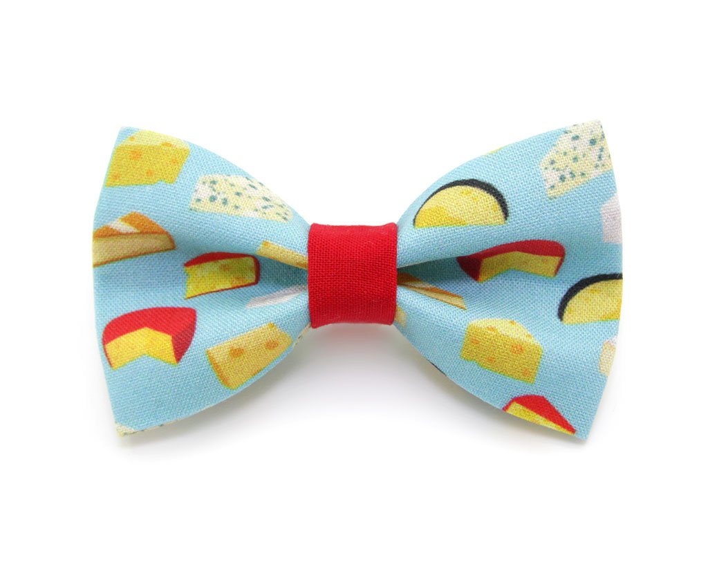 Bow Tie Cat Collar Set - "Say Cheese" - Cat Collar w/ Matching Bow Tie (Removable)