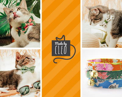 Cat Collar - "Birthday Candles" - Red Cat Collar - Breakaway Buckle or Non-Breakaway / Cat, Kitten + Small Dog Sizes